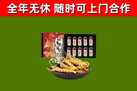 卢湾回收冬虫夏草价格